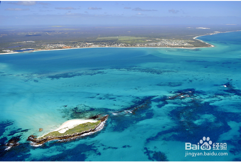 去西澳大利亚旅游,宁加洛珊瑚礁怎么玩?