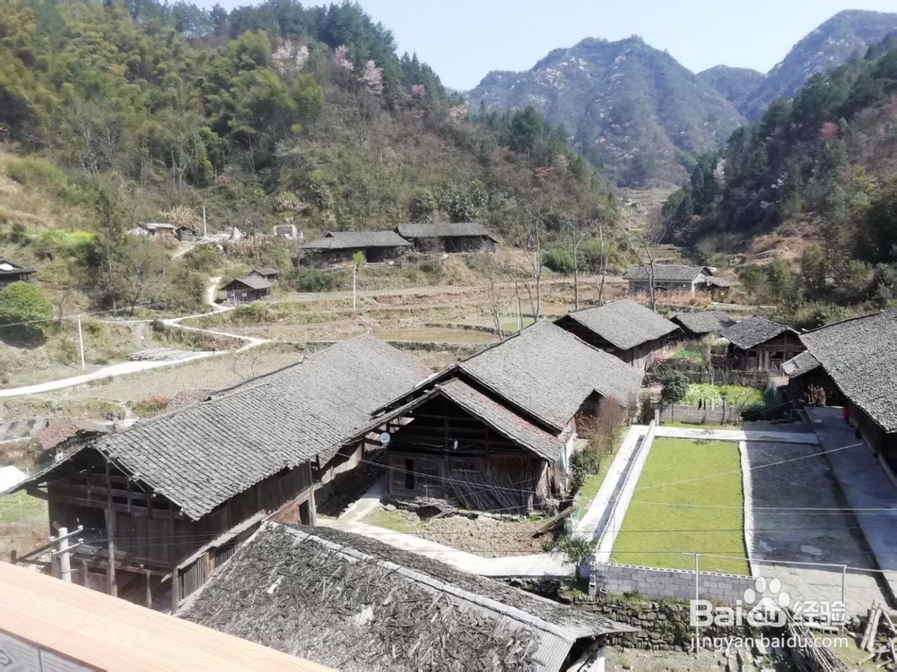 彩虹与樱花观赏散记
