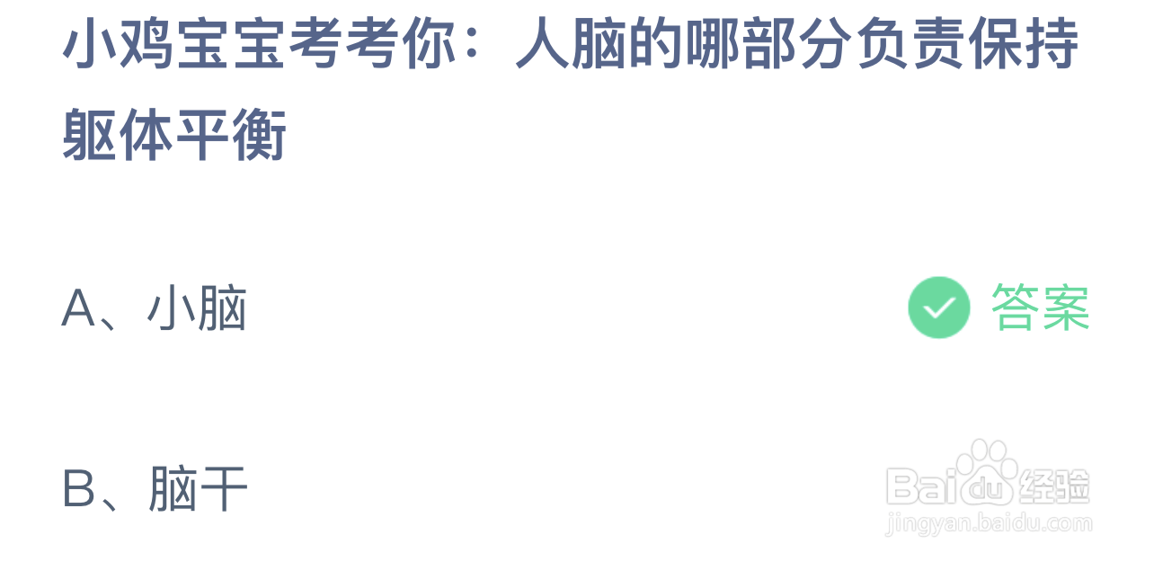 蚂蚁庄园答案：人脑的哪部分负责保持躯体平衡
