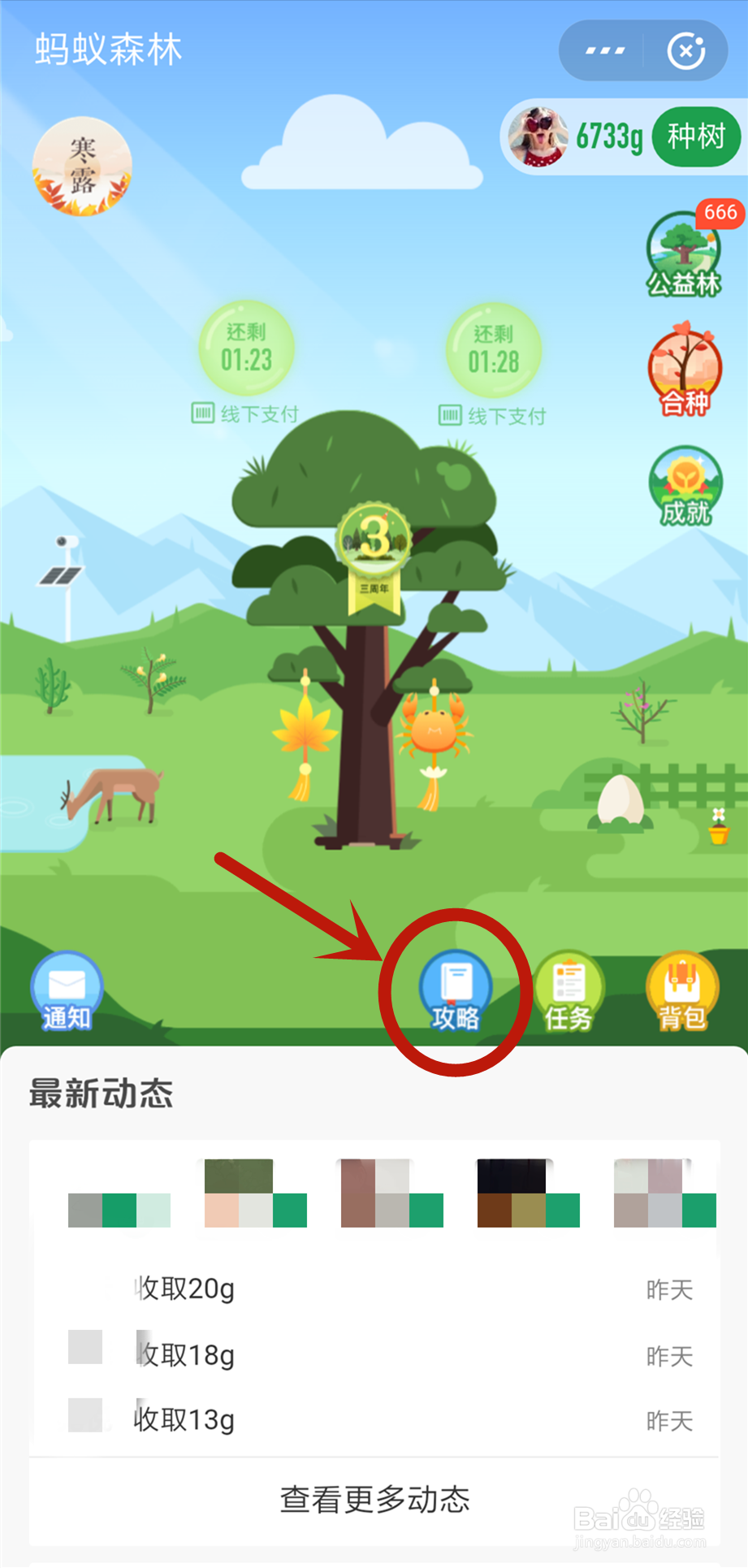 蚂蚁森林9.7kg攻略