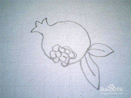 简笔画石榴的画法
