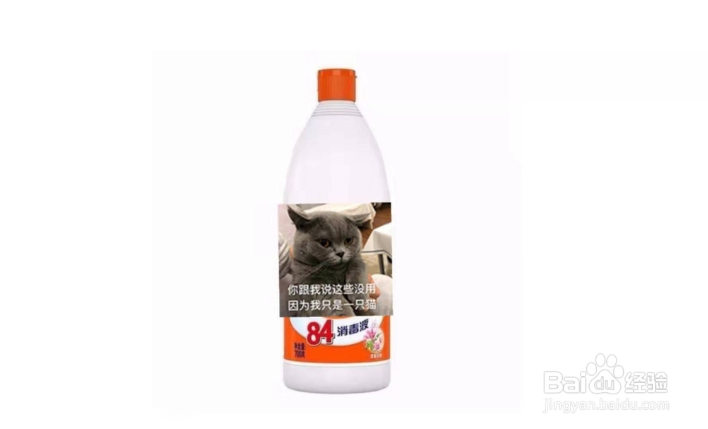 怎么杜绝猫在床上尿