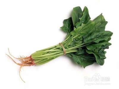 我的养生经验杂谈：[3]各类蔬菜的营养价值