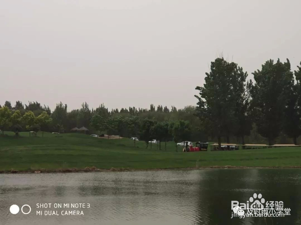 北京野生动物园一日游