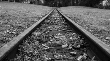 如何进行自我管理？