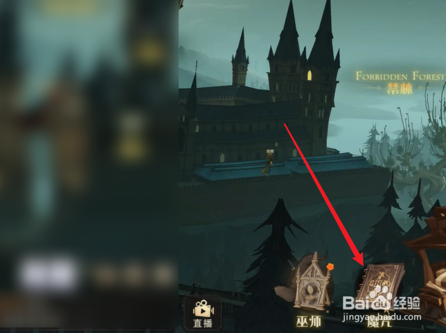 哈利波特魔法觉醒魔法书等级怎么查看