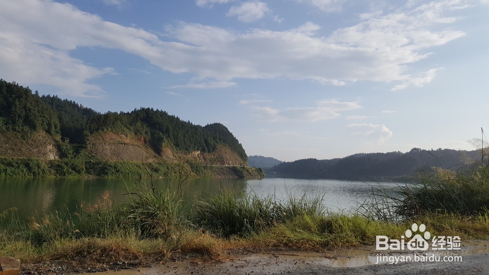 生活没头绪,考公务员啥的节节失利该咋办?