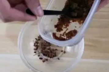 有哪些家中驱蚊子的方法