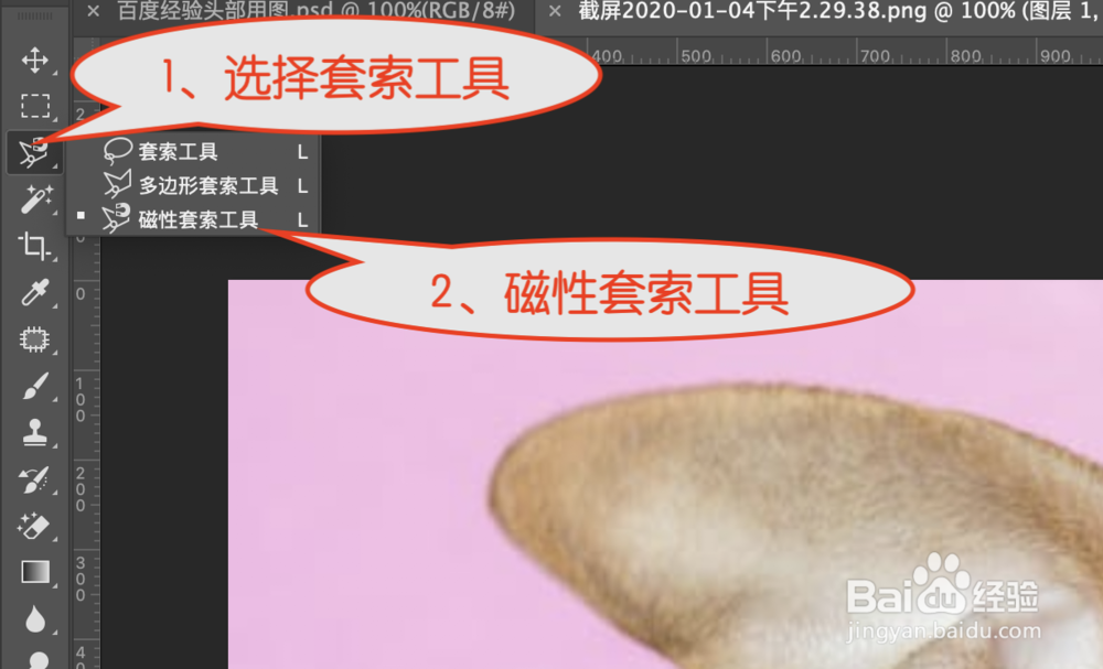 adobe Photoshop怎么利用套索工具抠图