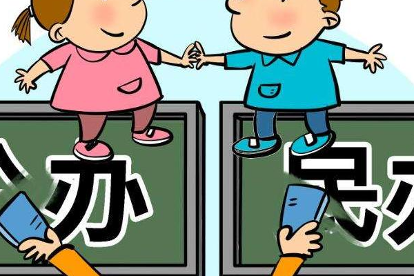 芜湖华强中学是公办还是民办