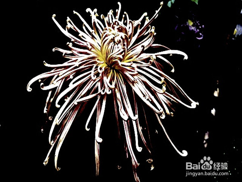 使用手机如何对图片进行处理