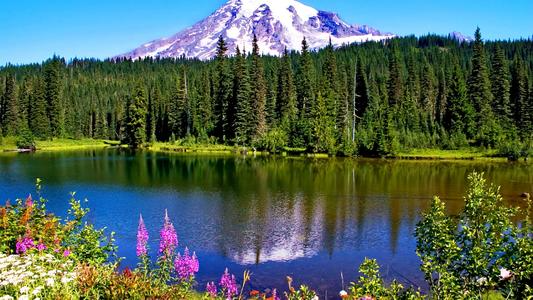 《那个不为人知的故事》陈铭生原型是什么