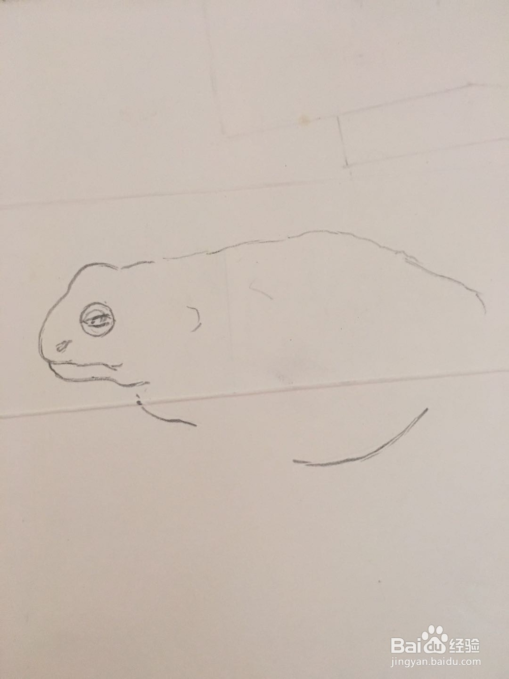怎样画一个蟾蜍的简单彩笔画