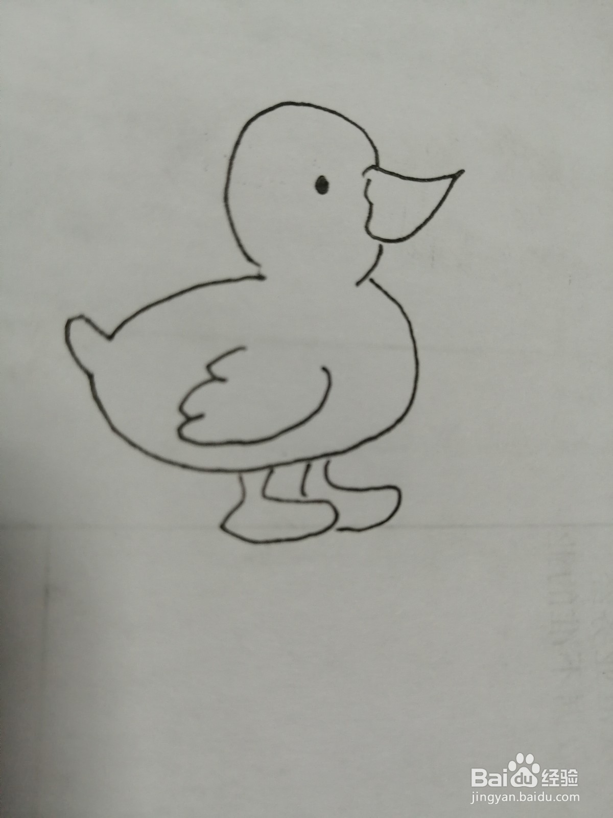 可爱的小鸭子怎么画