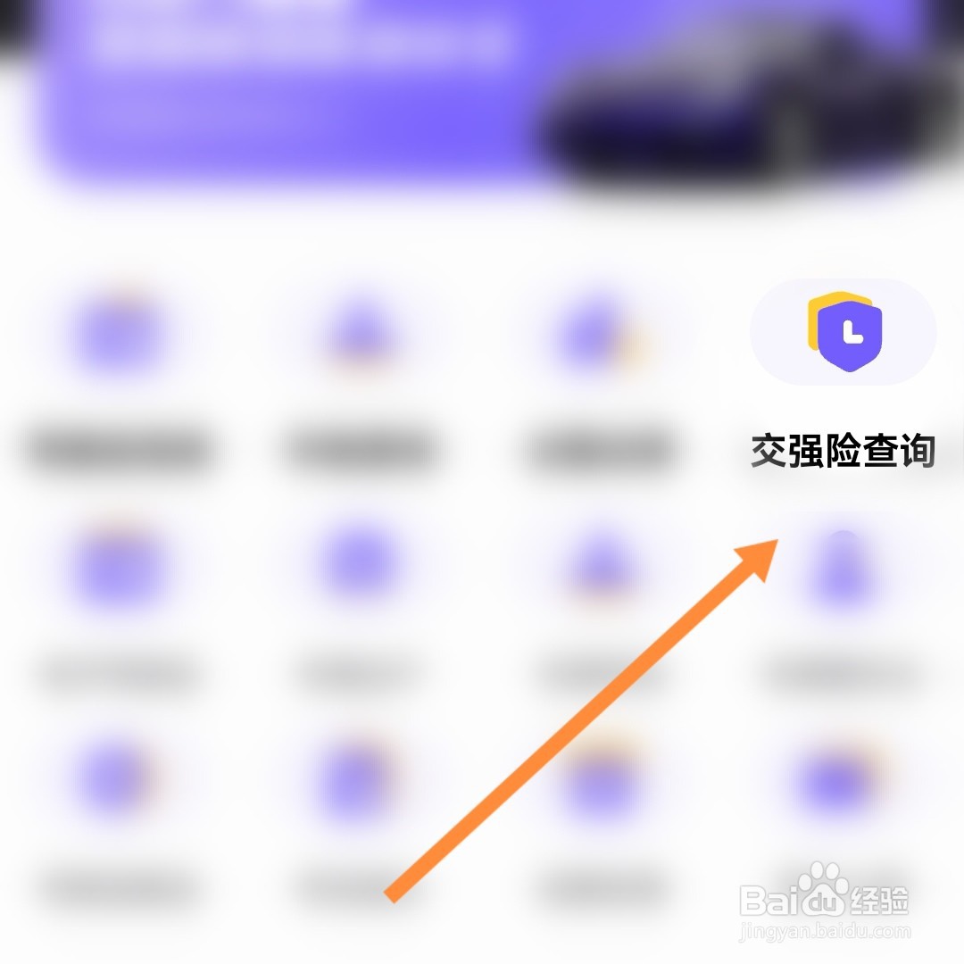 车险查询到期