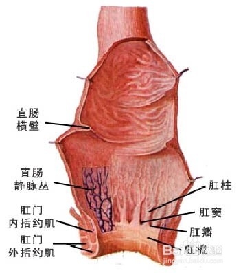 直肠癌饮食注意