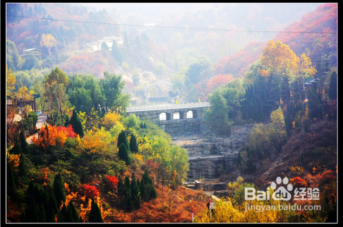 五一短距游如何玩转济南？