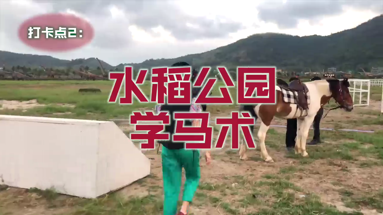 去威斯汀旅游到哪里玩？
