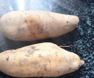 用微波炉怎么烤红薯