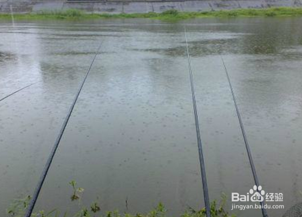 台钓钓鱼搭配线技巧，使用手竿线组注意事项