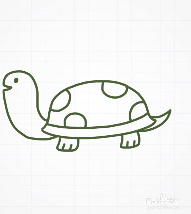 <b>怎样画一只小乌龟</b>
