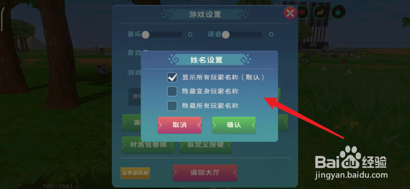 创造与魔法如何隐藏其它玩家名字