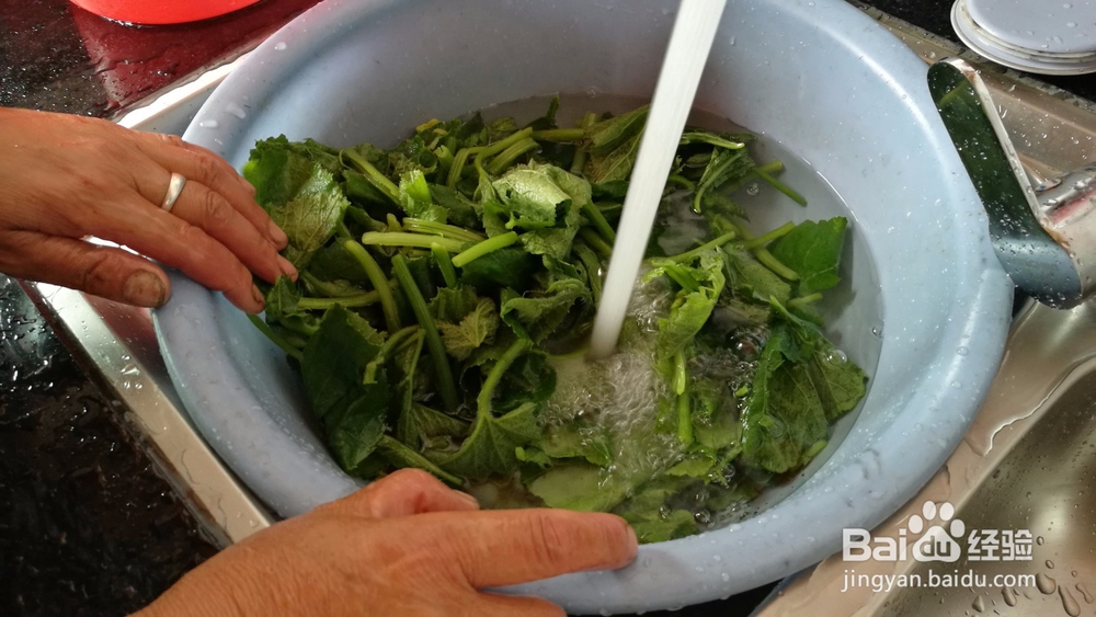 乡村清炒南瓜叶的方法。