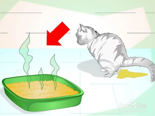 您知道如何阻止猫咪随地乱撒尿的问题吗？（图）