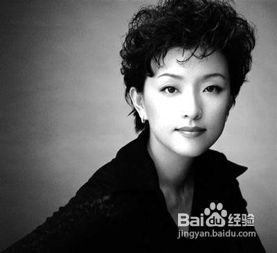 网传内地主持人排行榜