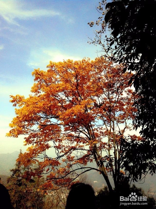 安徽宏村之行第三天，第四天