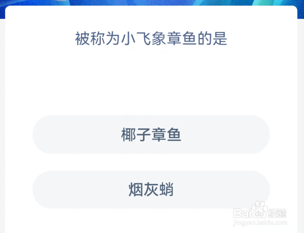 被称为小飞象章鱼的是