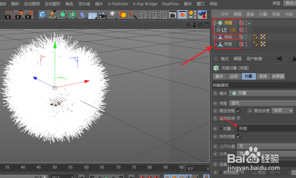 C4D建模--蒲公英