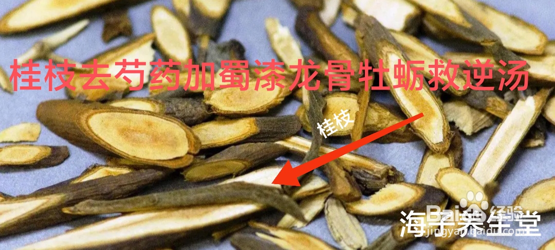 桂枝去芍药加蜀漆龙骨牡蛎救逆汤
