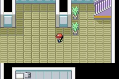 口袋妖怪圣灰攻略图片5