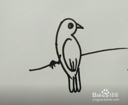 教你怎样用3简笔画小鸟