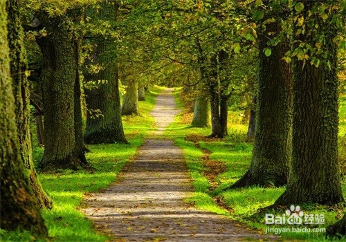 如何从失落中调整过来