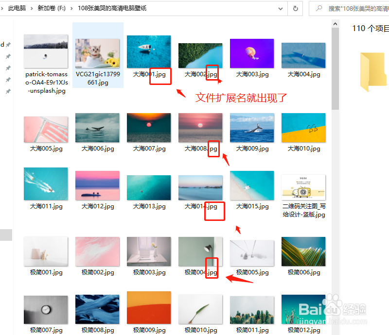 电脑如何查看文件扩展名?