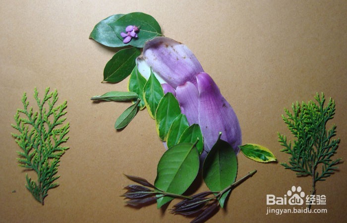 植物画如何拼装威武的霸王龙