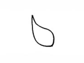 美丽玫瑰花简笔画