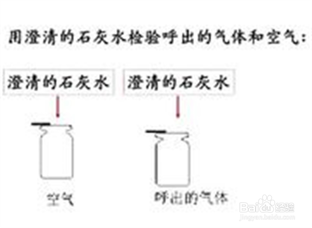 手把手教你学好九年级化学——1单元课题2