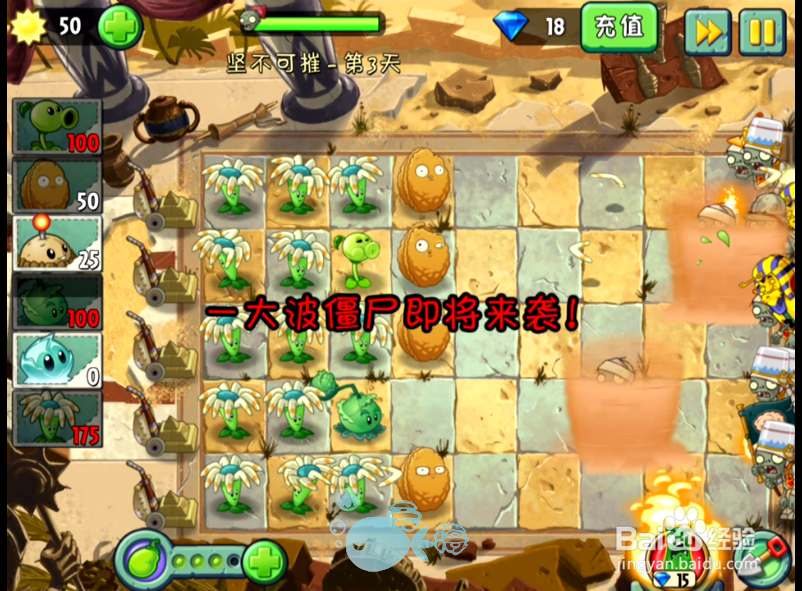 植物大战僵尸2攻略 神秘埃及 坚不可摧 第三天