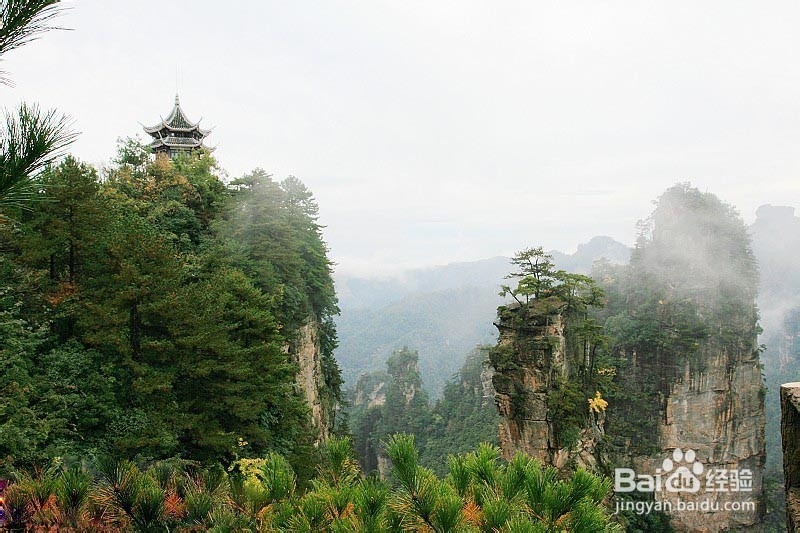 阳江到张家界自驾游
