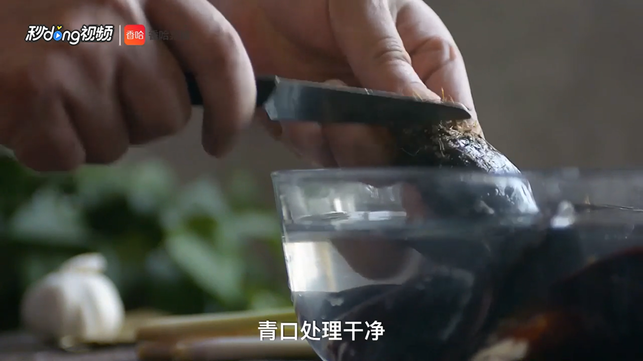 香茅椰汁煮青口怎么做