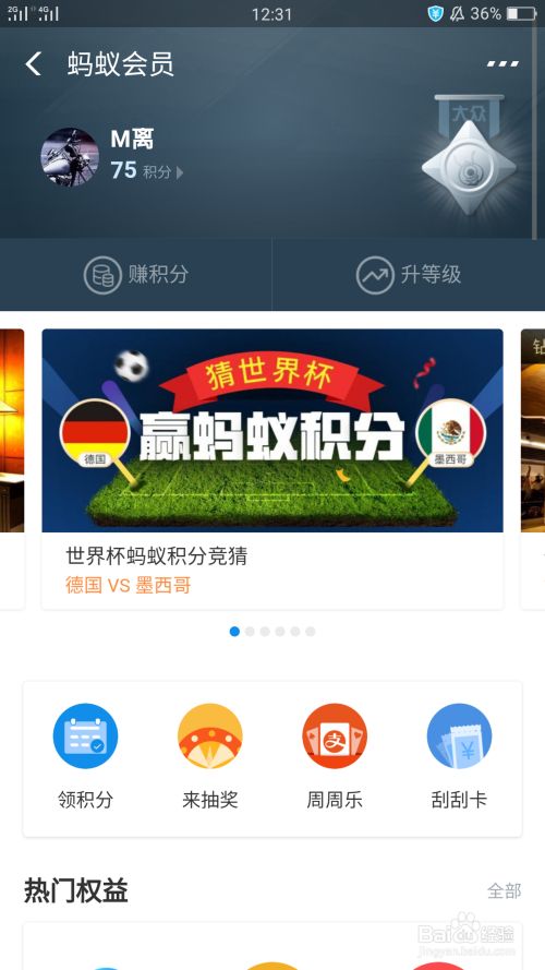 世界杯竞猜途径方法——玩转世界杯