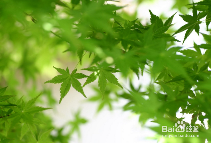 春季健康养生原则