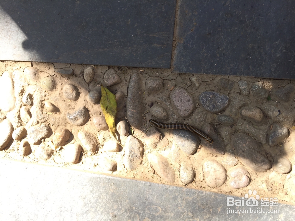 郊游如何记录下好心情