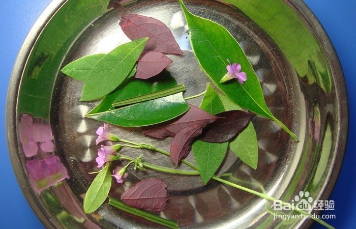 植物艺术画拼装聪明的小狐狸