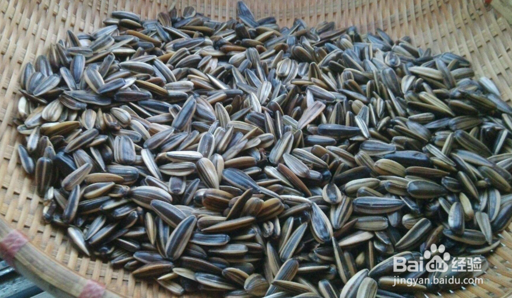 怎样用转笼烤葵花子