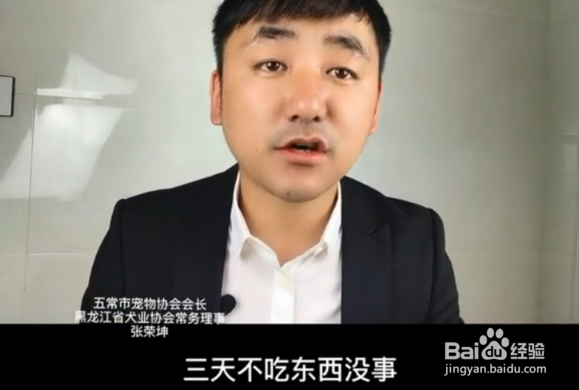 狗狗可以饿几天