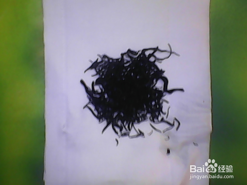 红茶的泡法与技巧